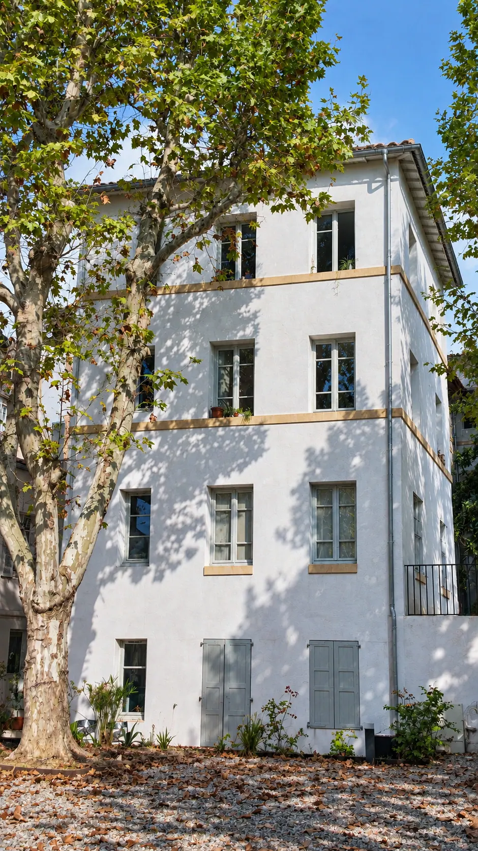 Bâtisse blanche aux volets gris derrière les platanes