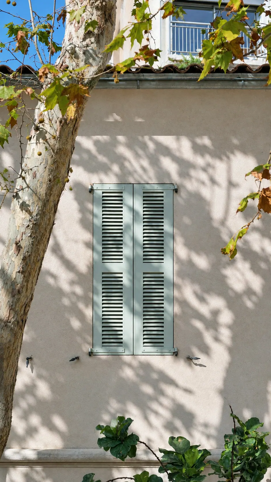 Persiennes grises sur une façade blanche tachetée d'ombre
